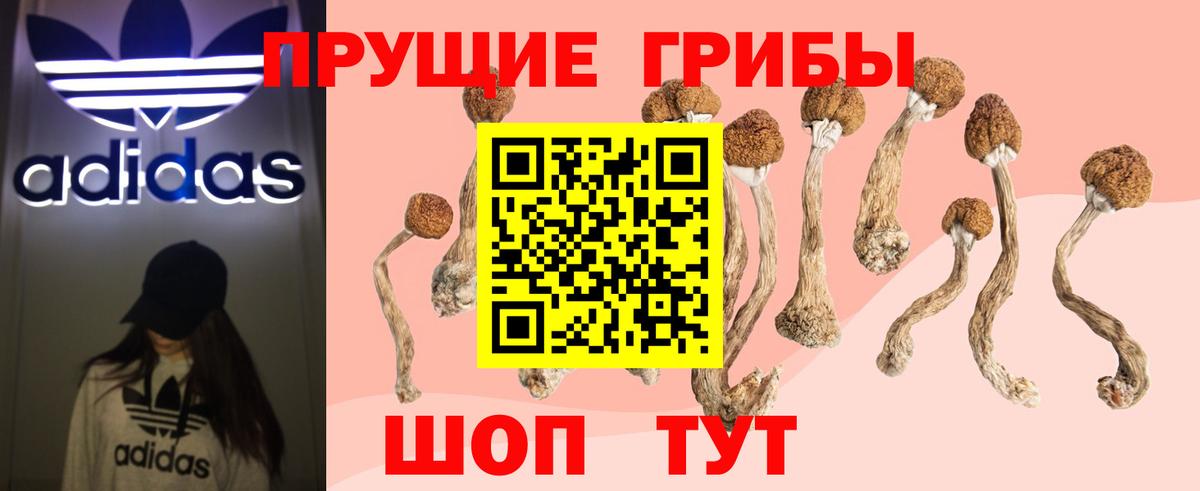 Тосно  Галлюциногенные грибы мухоморы  Вход с VPN 