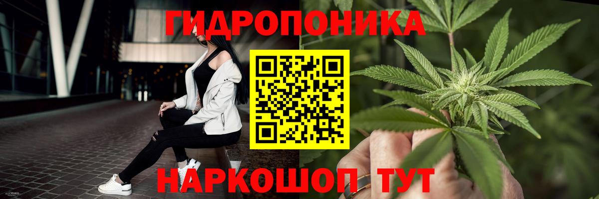 Тосно  Бошки марихуана индика  Бошки Шишки AK-47  Каннабис White Widow  Вход с VPN 